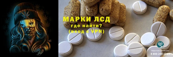 дмт Вяземский