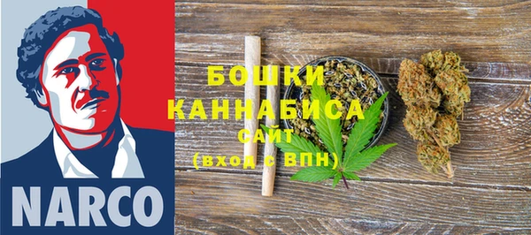 дмт Вяземский