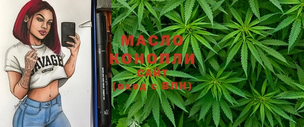 дмт Вяземский