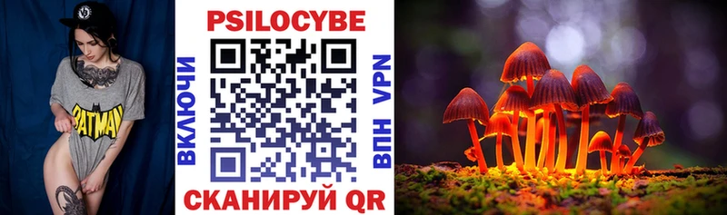наркошоп Новосибирск Галлюциногенные грибы Cubensis