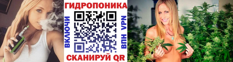 закладка  Новосибирск  Шишки марихуана Ganja 
